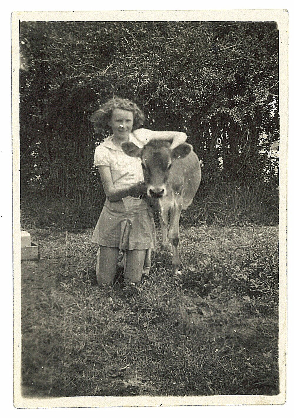 Patricia with her calf Wendy 