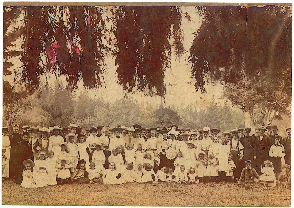 Katikati School picnic
