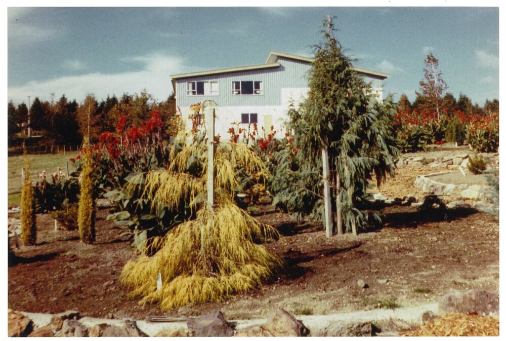 The early days of McClouchlin Park, Te Puke