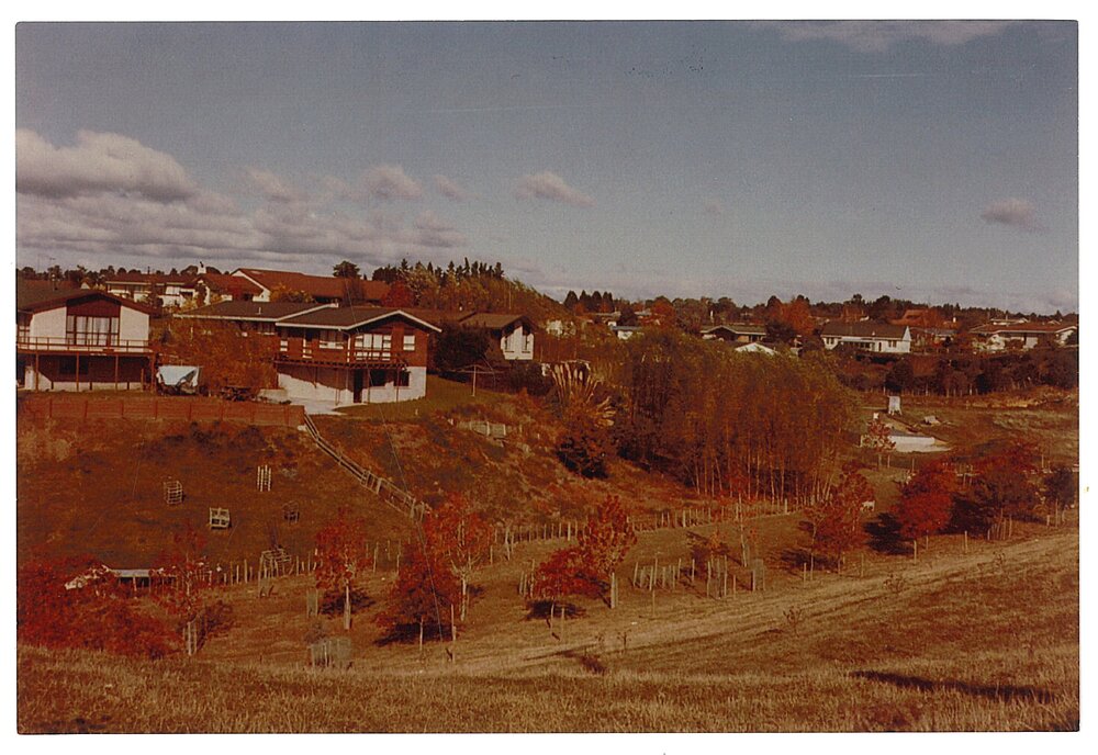 Early plantings in Noel Bowyer Park, Te Puke
