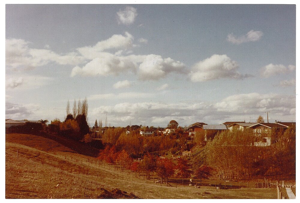 Land that became Noel Bowyer Park, Te Puke