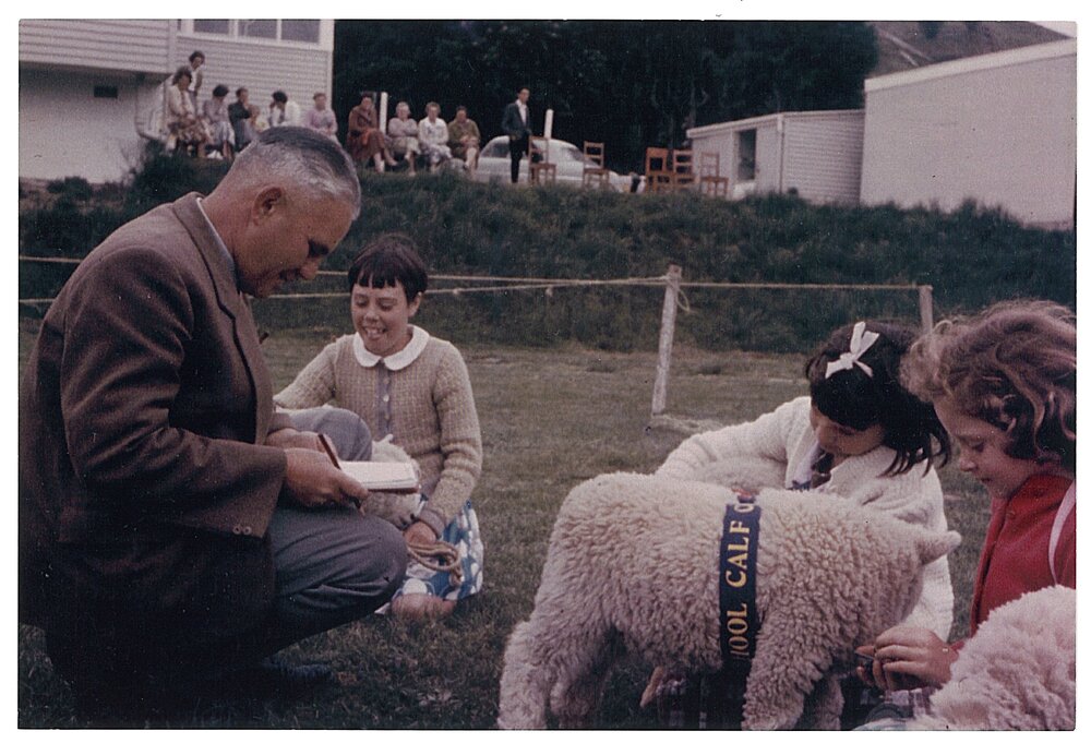 Noel judging school calf and lamb club