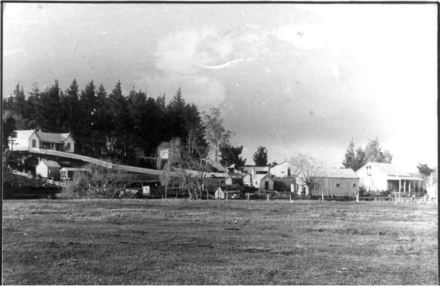 Katikati Town Buildings 