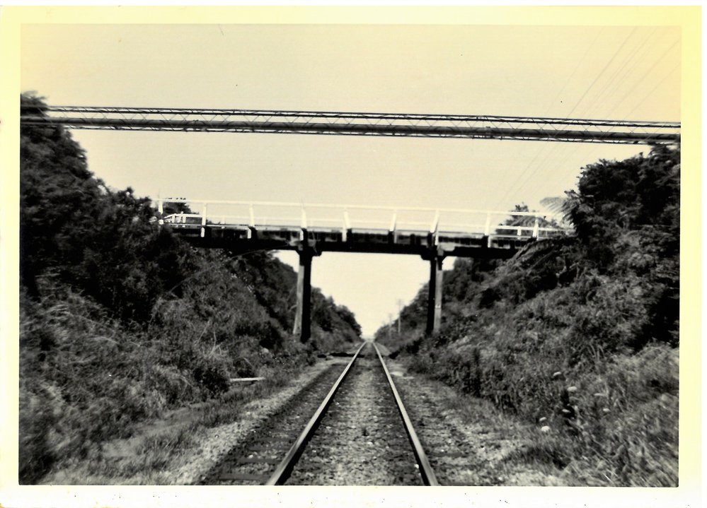 Omokoroa Beach Road railway crossing