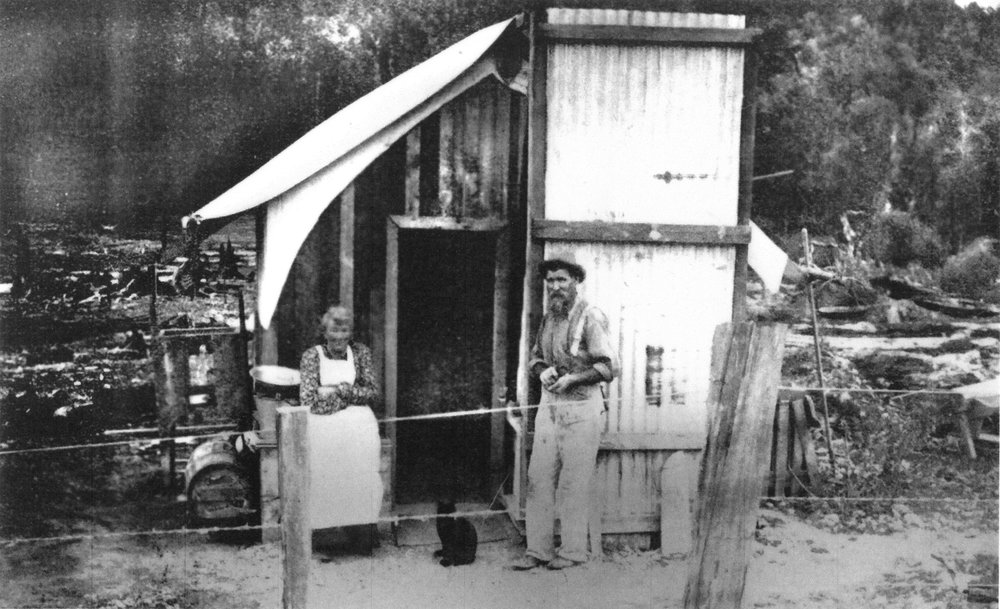 Logging settlement at Whakamarama