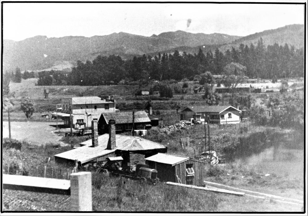 A view from Noble Johnston's farm in Katikati c1935
