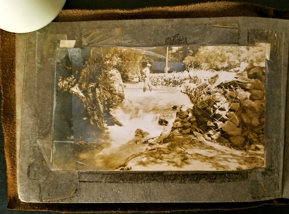 Kirikiri Stream near Te Puke