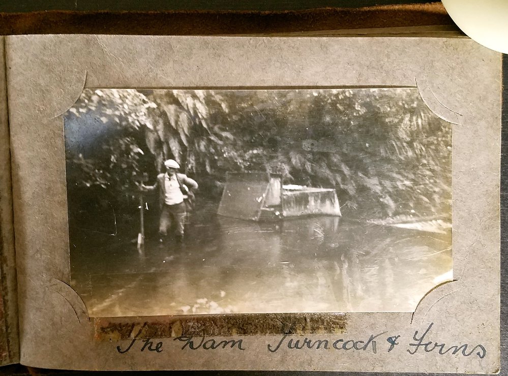 The Dam turncock and ferns