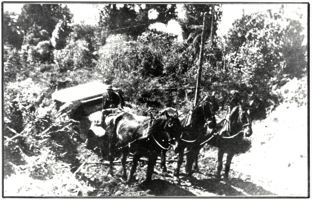 Katikati - Tauranga Road 1920s