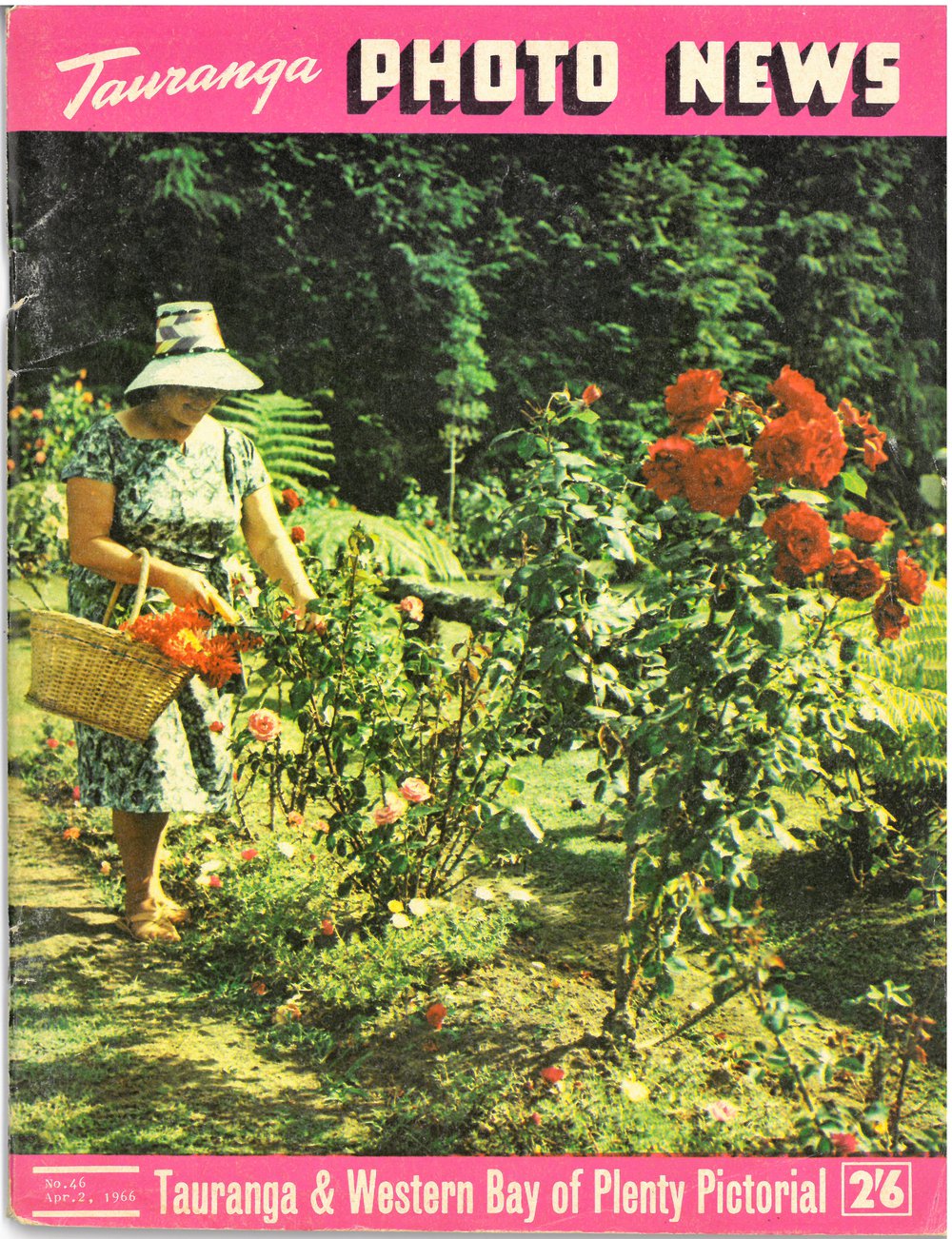 Tauranga Photo News 1966