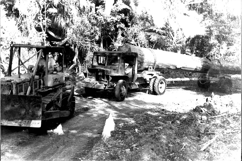Last Kauri log for the mill. Katikati 