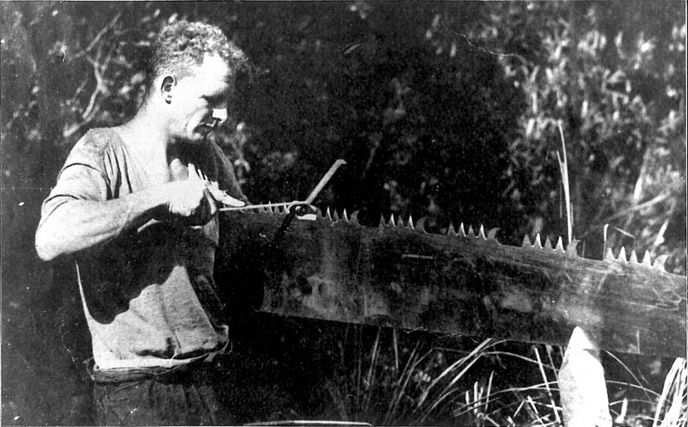 Kauri felling tools 