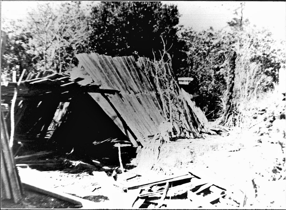 Logger's slab hut
