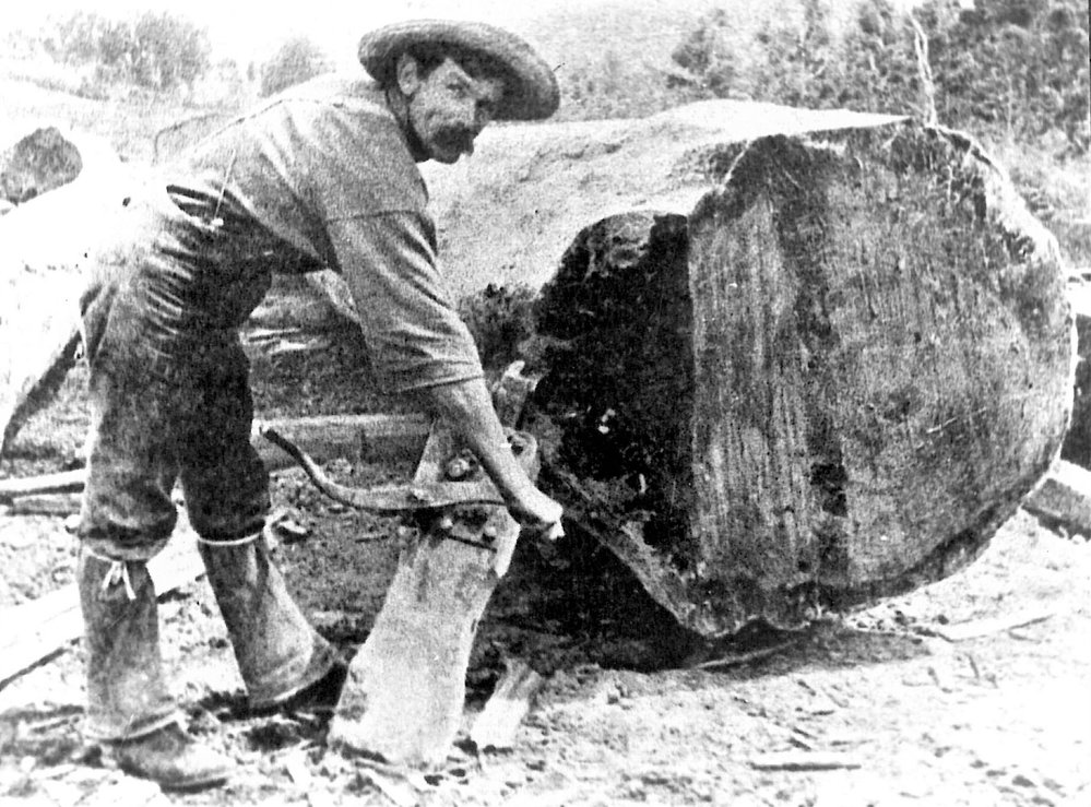 Timber jack 