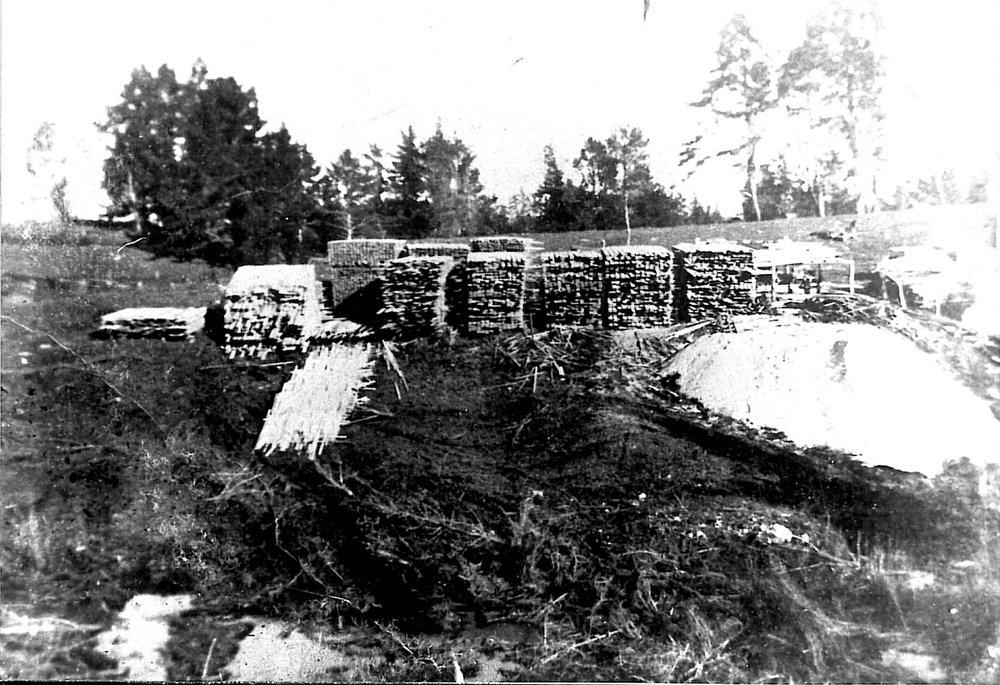 Timber stacks 