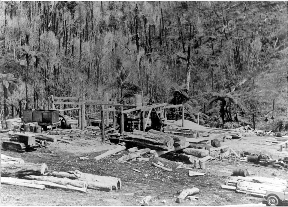 Bush sawmill