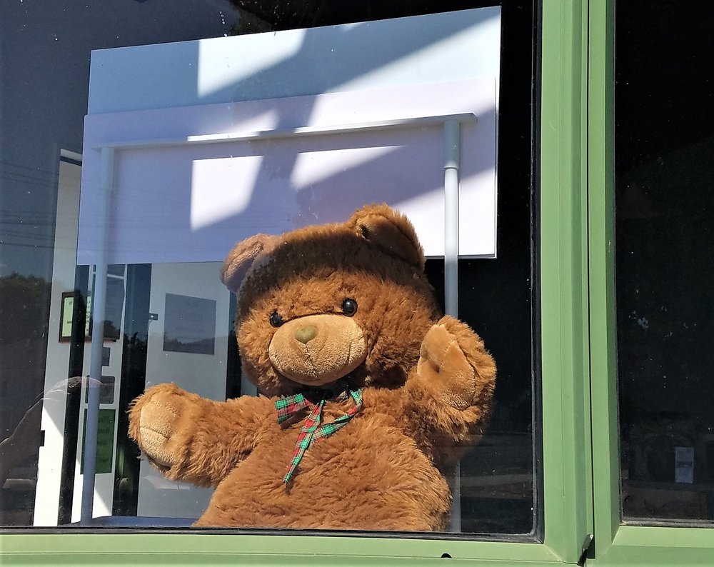 Teddy Bear at Community Resource Centre, Katikati during Covid-19 lockdown