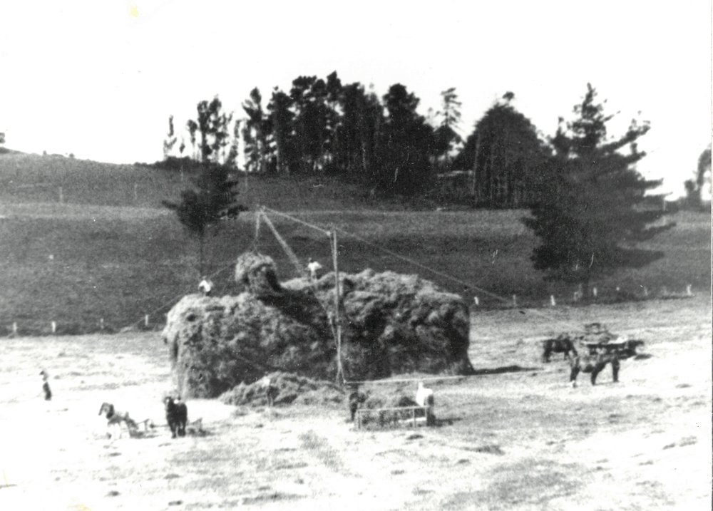 Haystack &amp; hay sweeps