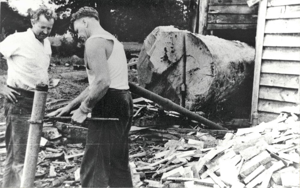 Last Kauri log milled at Baker Sawmill