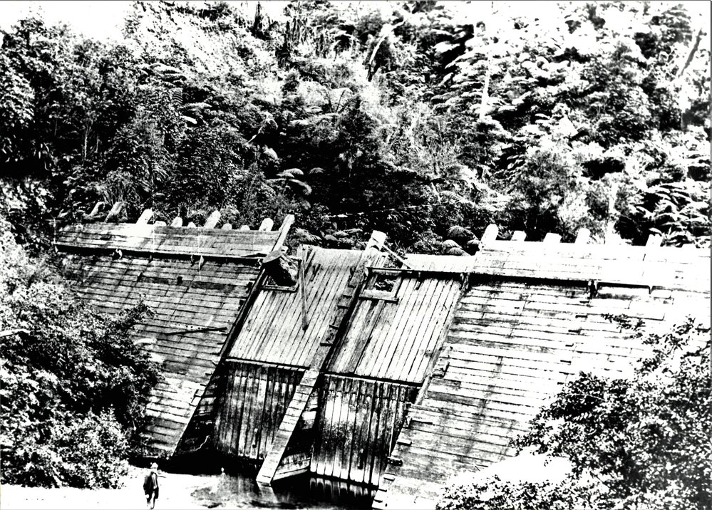 Kauri log dam
