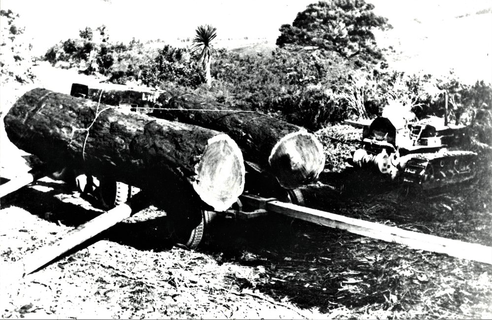 Loading kauri logs at Busby Road, Katikati.