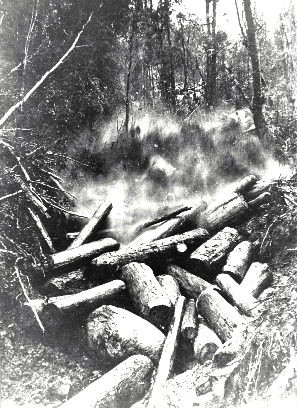 Water rushing through a tripped log dam