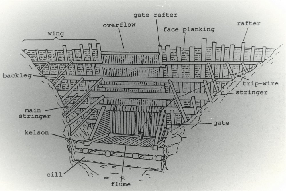 Sketch plan of a kauri logging dam