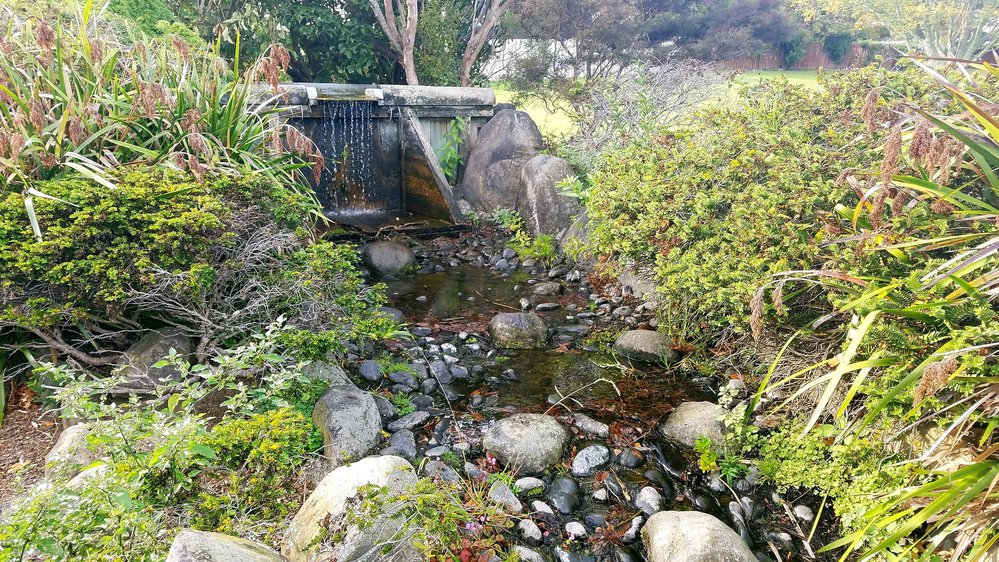 Kauri Dam at Diggelmann Park, Katikati