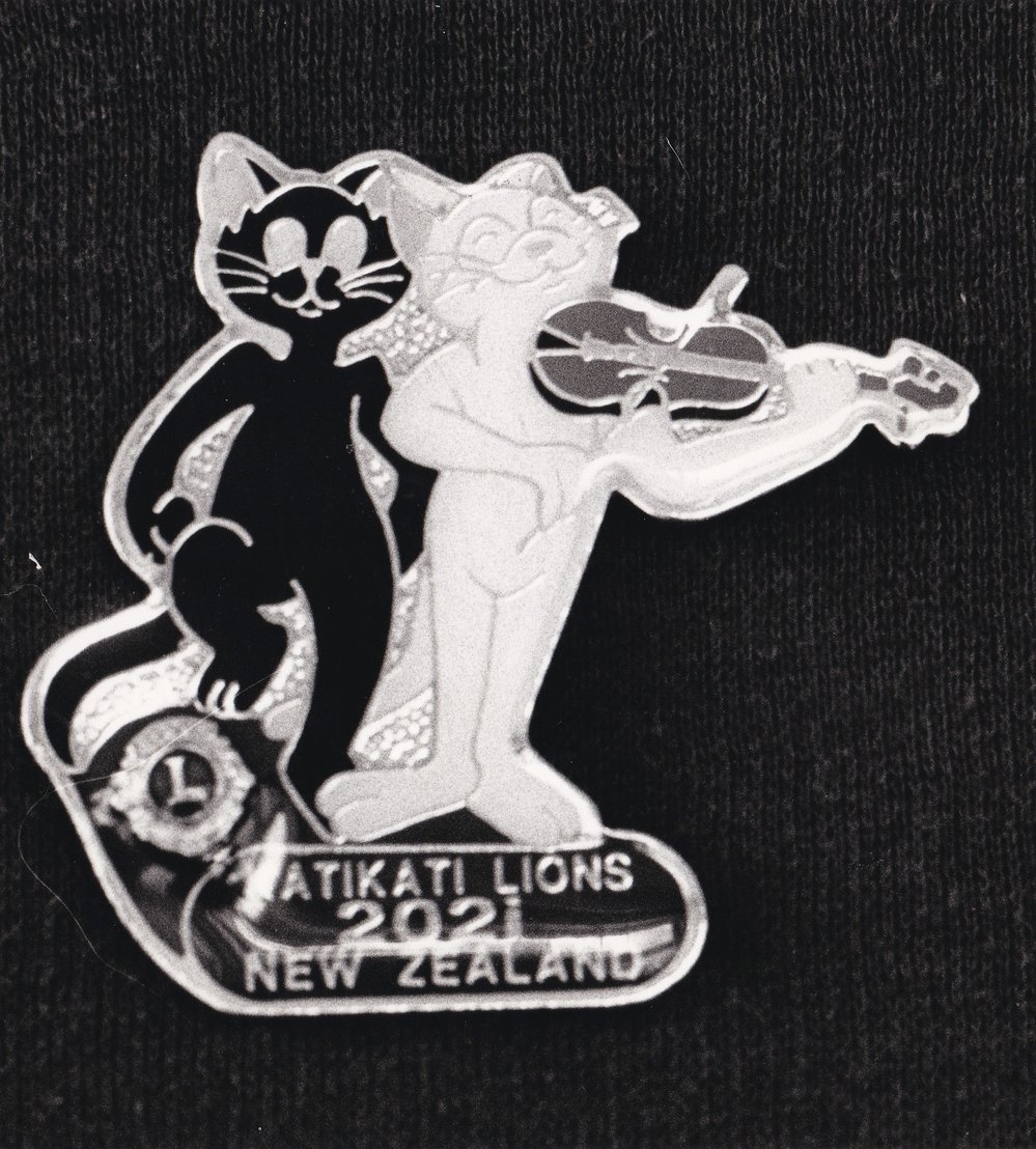 Katikati Lions pin