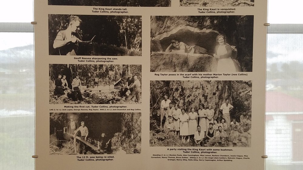 Photos of the men at work