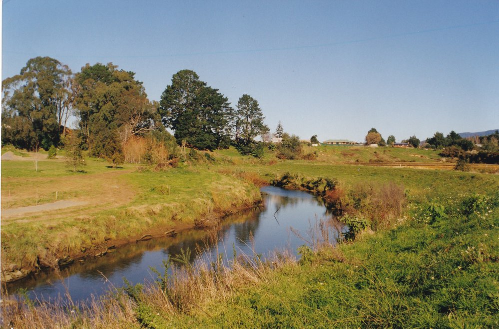 Uretara River looking south