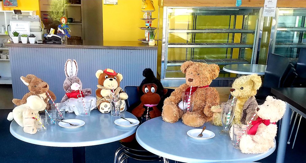 Teddy bear's picnic at Viva Cafe, Katikati
