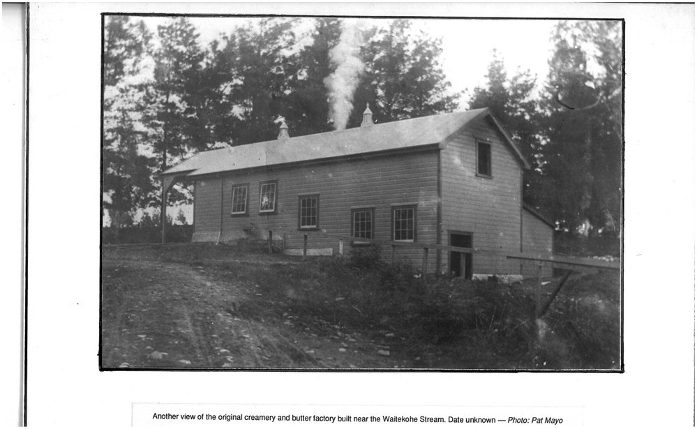 Katikati Dairy Factory