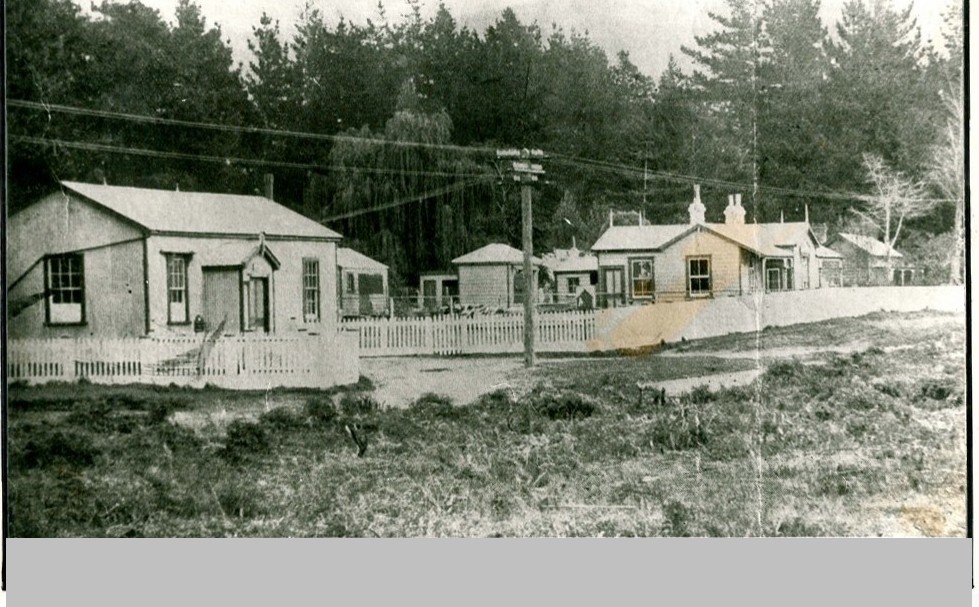 Early Post Office &amp; Courthouse. Katikati