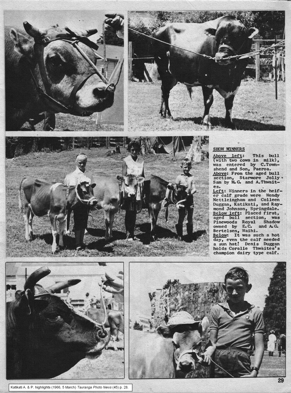 Katikati A &amp; P Show 1966