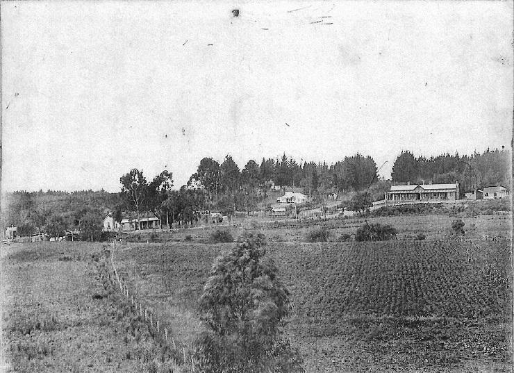 Early Katikati (circa 1890s)