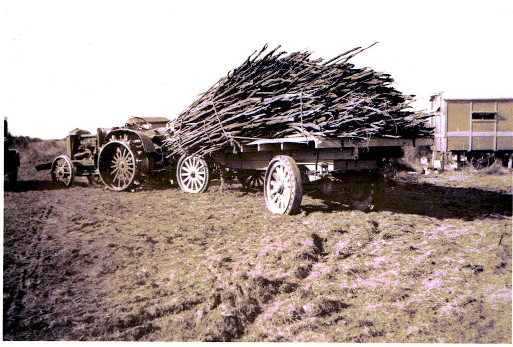 Tractor and trailer of loaded with Manuka branches
