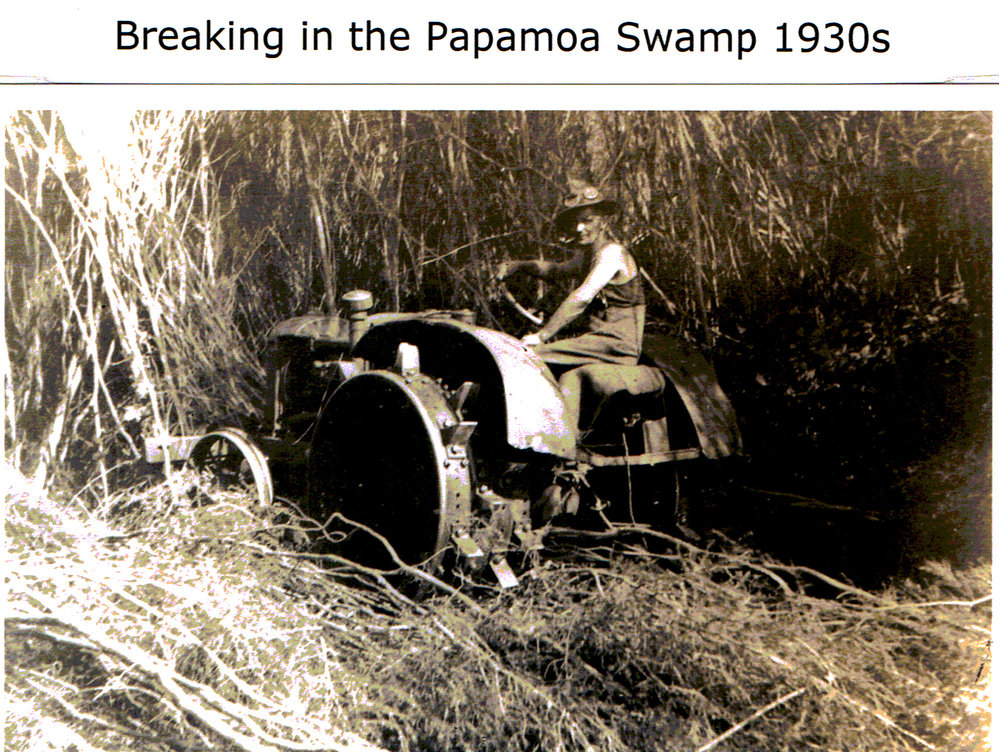 Tractor in swamp