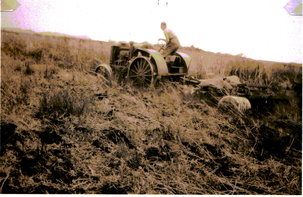 Tractor in bracken