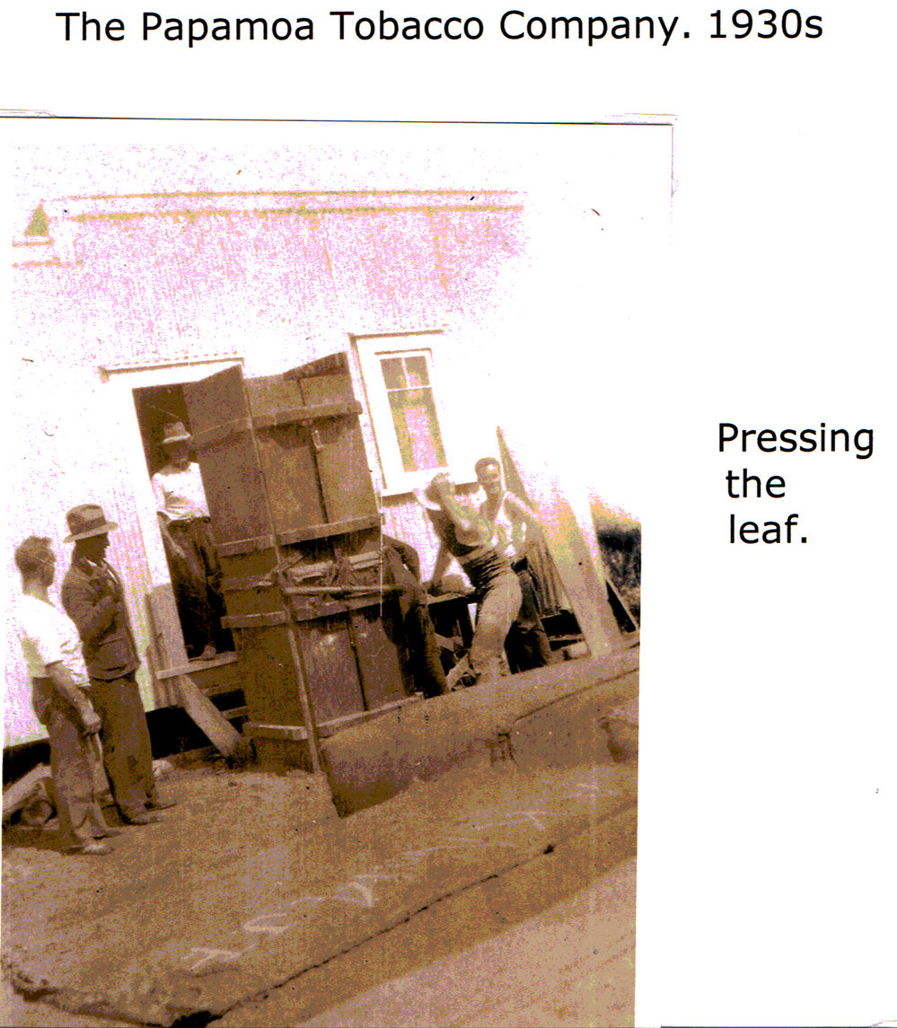 Pressing tobacco leaf
