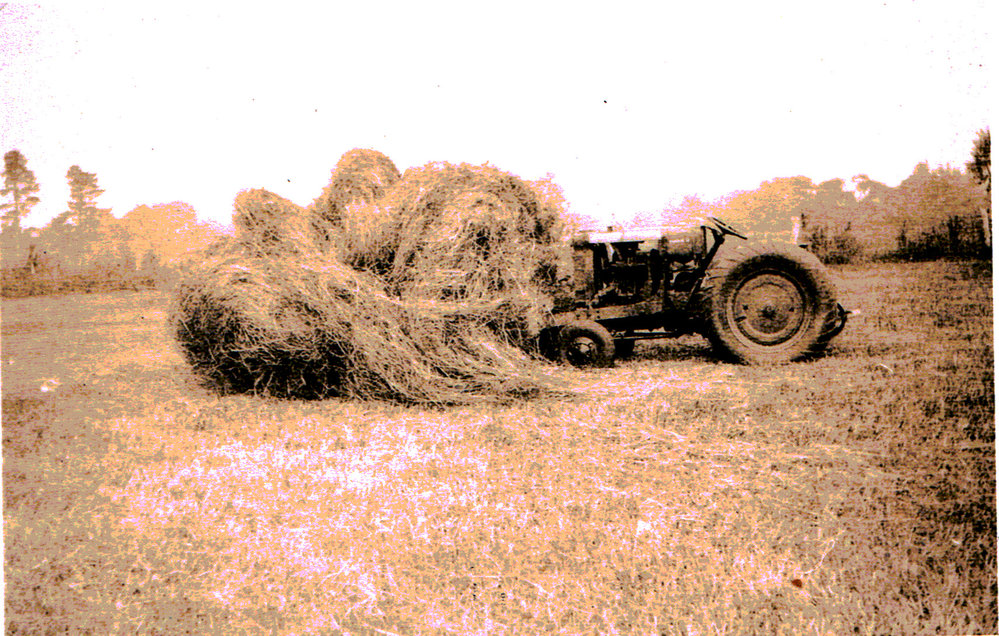 Haymaking with tractor