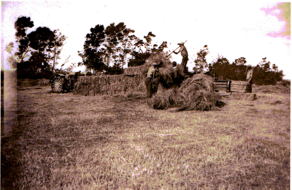 Hay baler and tractor