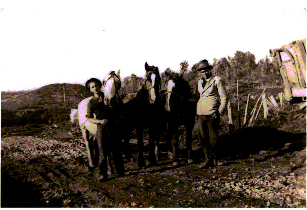 Road contracting Kaimai Road