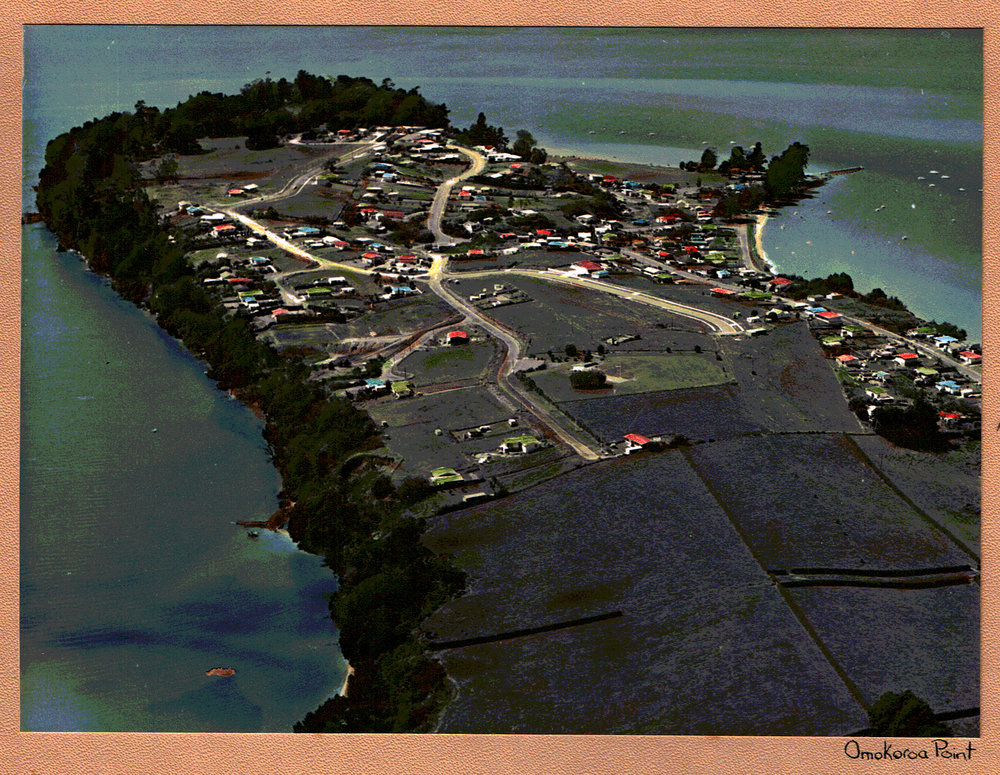 Omokoroa Point 1967