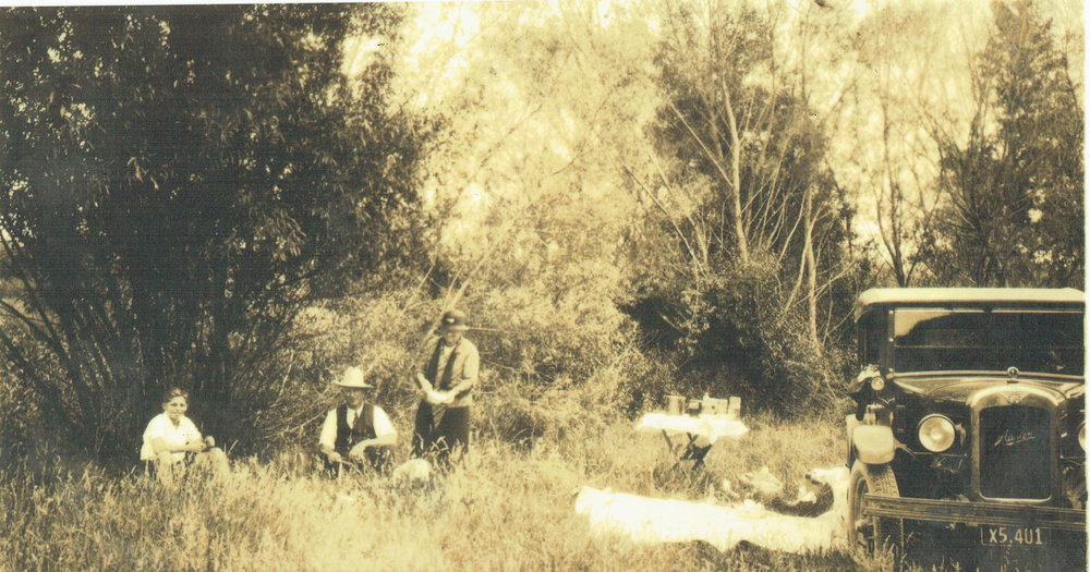 Blomquist - Johnston picnic