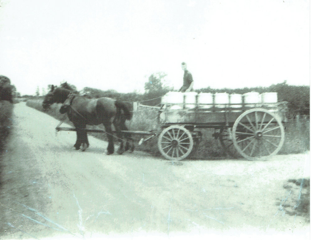 Horses and cream wagon