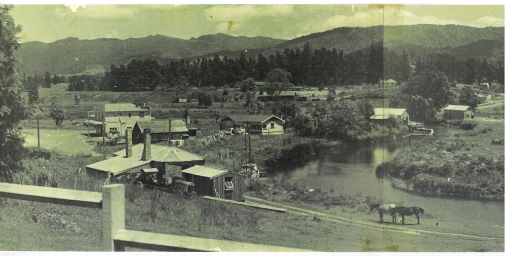 The Uretara Stream in the 1930s