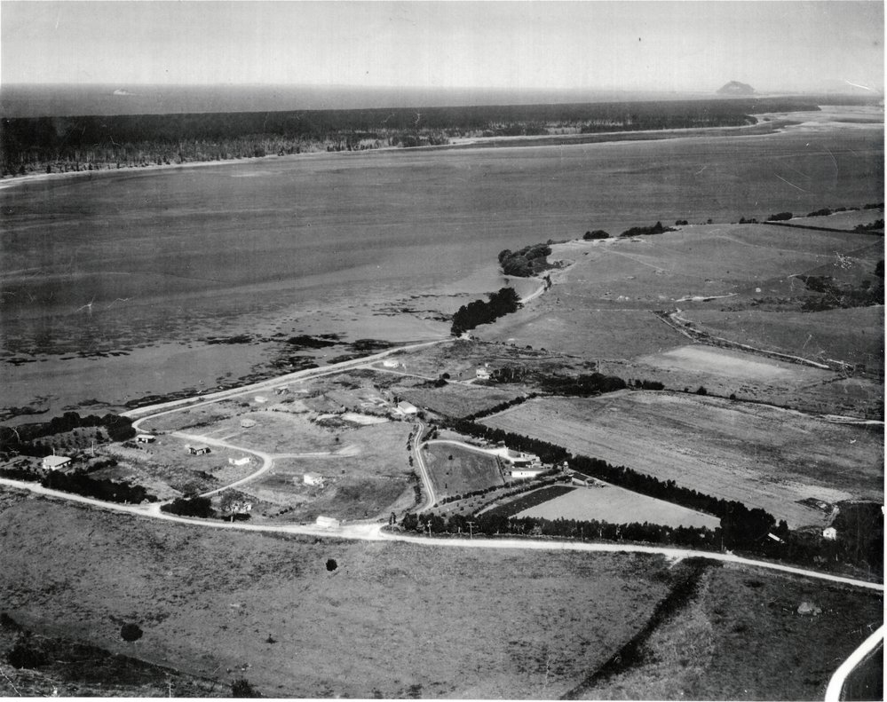 Ongare Point, Katikati 1952
