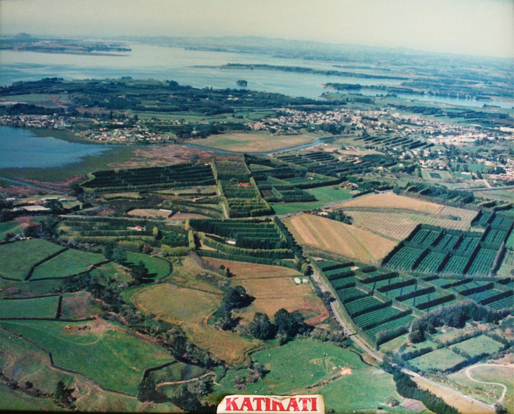 Katikati Township c1990