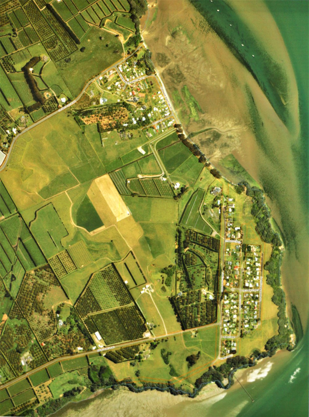Kauri Point and Ongare Point c2015